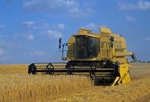 CUTTING BARLEY