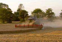 Combining Wheat 3 DMOO48