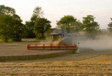 Combining Wheat DM1252