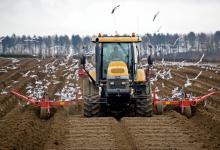 Gulls and Tractor 2 DM0042