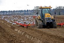 Gulls and Tractor DM1247