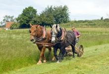 Hay Cutting DM0212