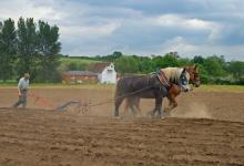 Ridging for Potatoes DM1216