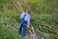 Hedge Laying DM1383