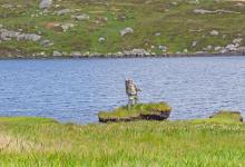 Fly Fishing in Scotland DM0187