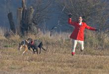 Hare Coursing  The Slipper