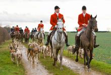 Hunting Foxhounds 2 DM0217