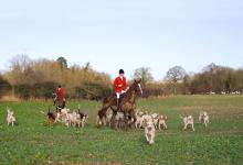 Hunting Foxhounds 4 DM0222