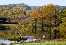 Rydal Water Cumbria DM0153