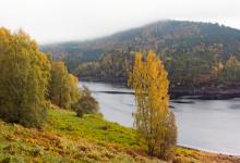 Glen Affric Scotland DM2115