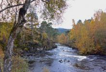 Glen Affric Scotland DM2118