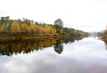 Glen Affric Scotland DM2119