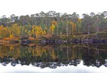 Glen Affric Scotland  DM2120