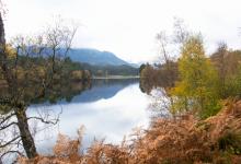 Glen Affric Scotland DM2121