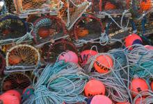 Lobster Pots at St Abbs 1 DM0330