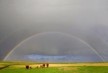 Rainbow near Balranald 1 DM1355
