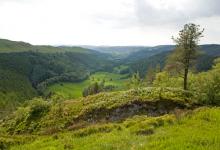 View from Bwlch Nant-yr-arian Wales DMO387