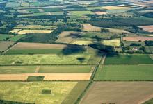 Drought effect on Breckland  Farmland  DM2165