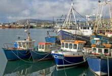 Fishing Boats at Dingle Southern Ireland DM0238