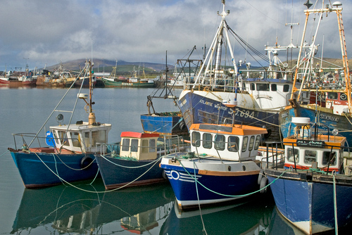 Fishing Boats at Dingle Southern Ireland DM0238