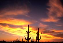 Sunset in  Organ Pipe NP DM0304