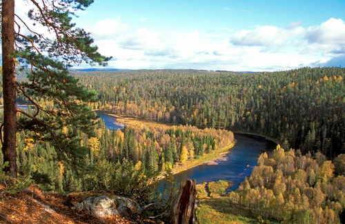 Finland Oulanka NP Bahkana Gorge DM0321