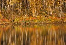Finland Reflections DM0322