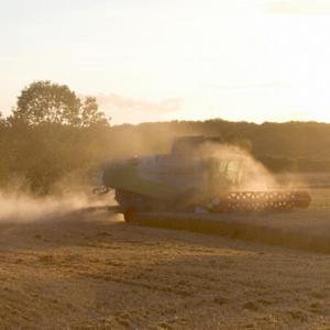 Combining Wheat 2 DM0044