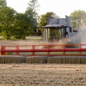 Combining Wheat DM1250