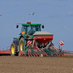 Seed Drilling