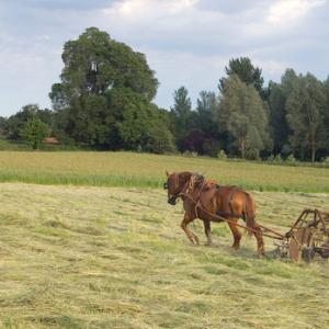 Hay Turning DM1220