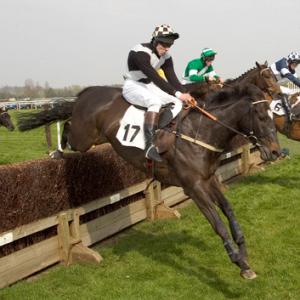 Point to Point 3 DM0211