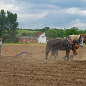 Ridging for Potatoes DM1216