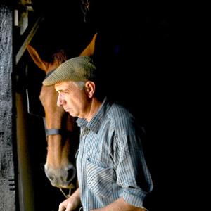 The Stable Door DM1221
