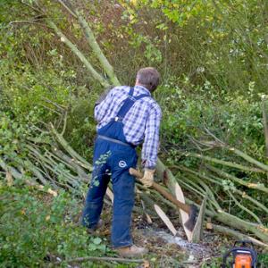 Hedge Laying DM1383