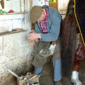 Horse Shoeing DM1391