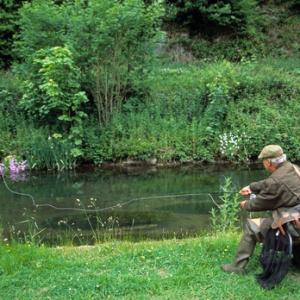 Trout Fishing Derbyshire 1 DM0185