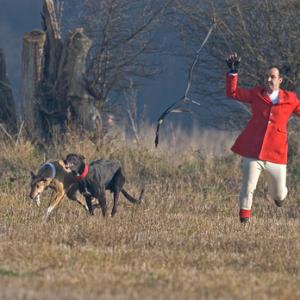 British Field Sports
