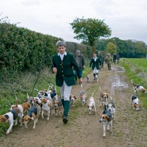 Beagles 3 DM0221