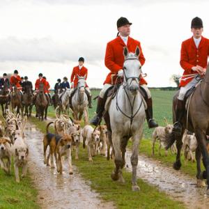 Hunting Foxhounds 2 DM0217
