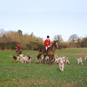 Hunting Foxhounds 4 DM0222