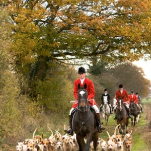 Huntsman and Hounds 2 DM019
