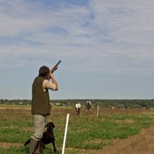 Partridge Shooting 2 DM0340