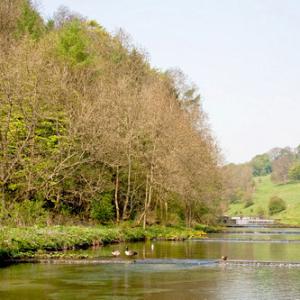 Lathkill Dale Derbyshire DM0148