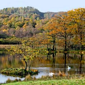 Rydal Water Cumbria DM0153