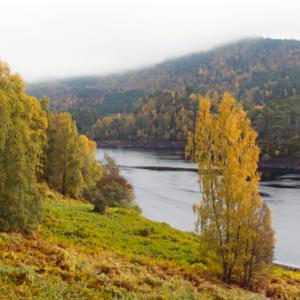 Glen Affric Scotland DM2115