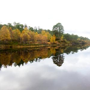 Glen Affric Scotland DM2119