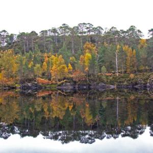 Glen Affric Scotland  DM2120