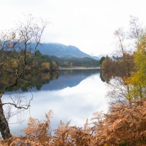 Glen Affric Scotland DM2121