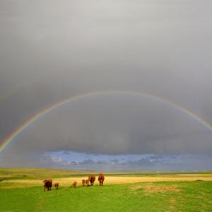 Rainbow near Balranald 1 DM1355